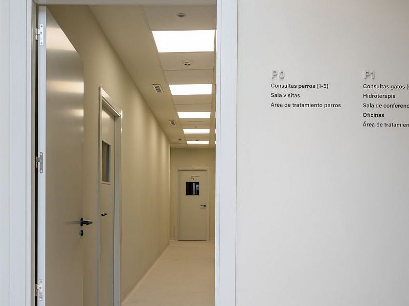 VETERIOS PUERTAS DE PASO