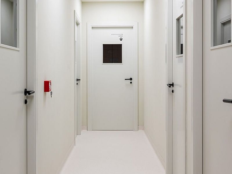 VETERIOS PUERTAS DE PASO