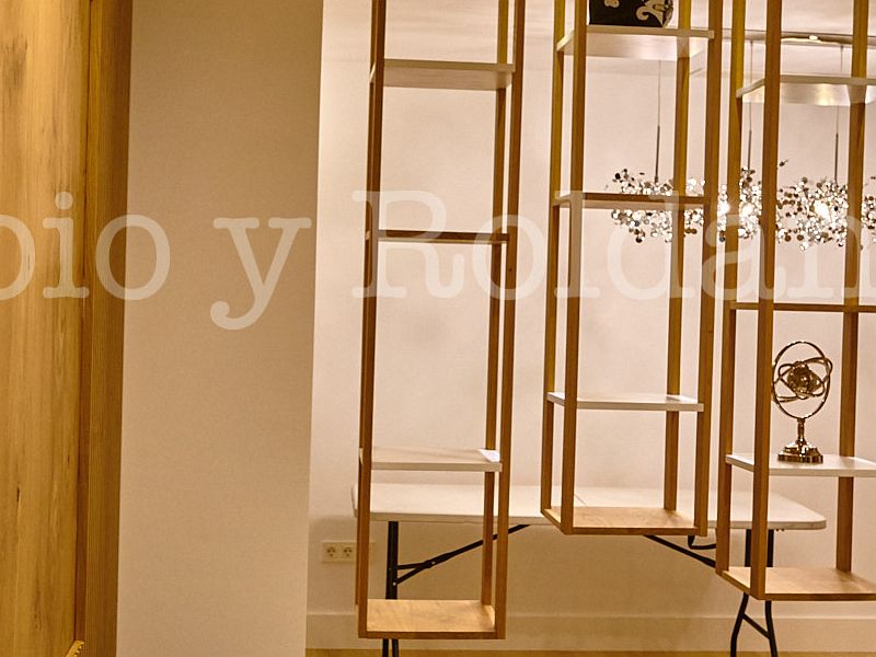 CARRIL CALEROS PANELADO ESTANTES SALON 1