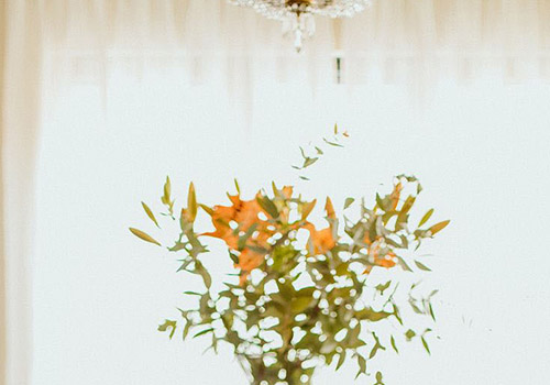 SERRANO ANGUITA 2022