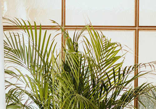 SERRANO ANGUITA 2022