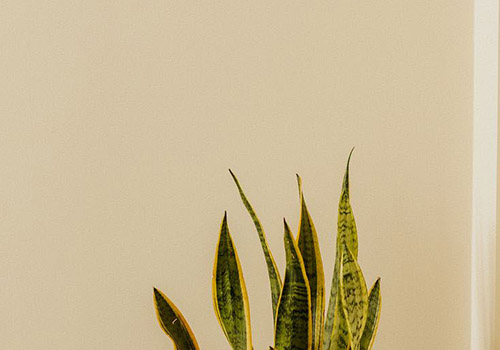 SERRANO ANGUITA 2022